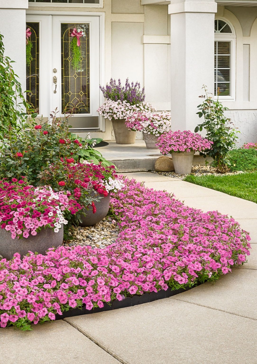 10 Hermosas plantas con flores resistentes al sol